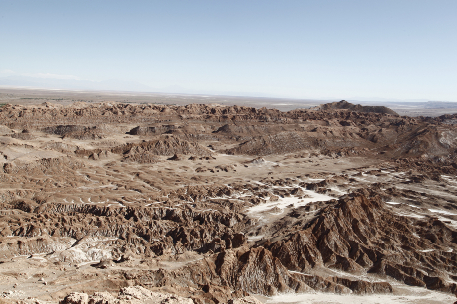 CILE. DESERTO DE ATACAMA